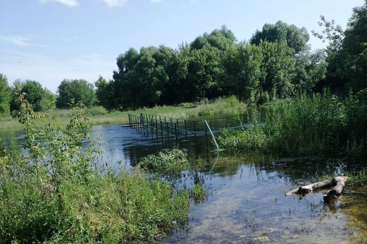 В одном из сел Тульской области из-за обильных осадков подтопило мост В одном из сел Тульской области из-за обильных осадков подтопило мост