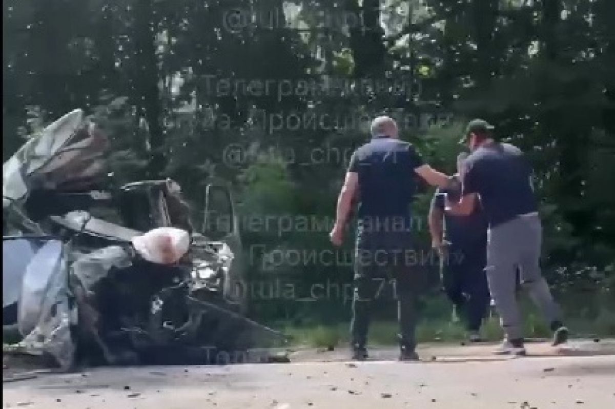 На трассе в Тульской области автомобиль вылетел на встречку после столкновения с лосем На трассе в Тульской области автомобиль вылетел на встречку после столкновения с лосем