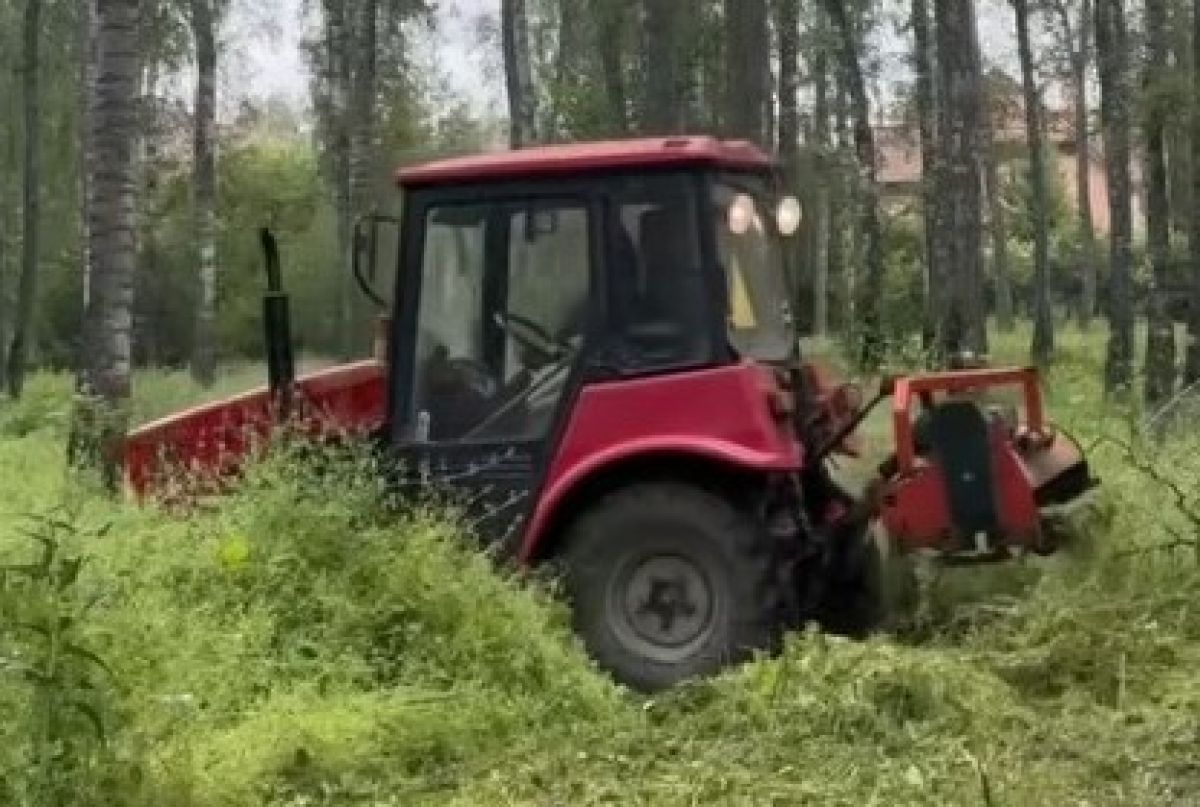 В Новомосковске косят траву на территориях школ и детских садов В Новомосковске косят траву на территориях школ и детских садов