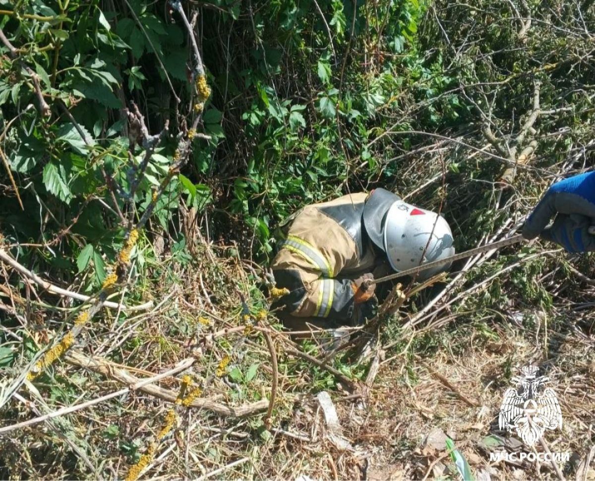 Тульские спасатели достали из старого колодца козленка Тульские спасатели достали из старого колодца козленка