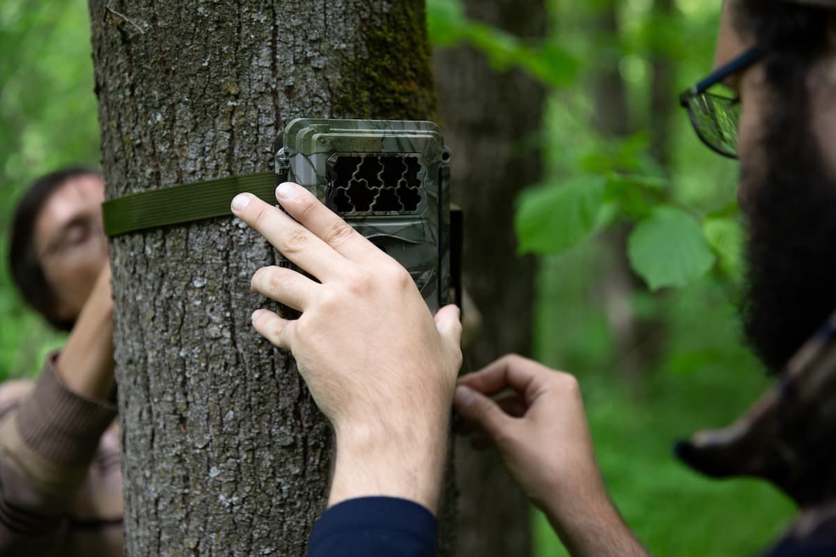 В Тульской области поставили фотоловушки на барсуков В Тульской области поставили фотоловушки на барсуков