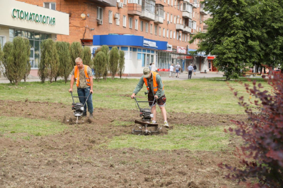 В Туле на перекрестке улицы Советской и Красноармейского проспекта обустраивают зеленую зону В Туле на перекрестке улицы Советской и Красноармейского проспекта обустраивают зеленую зону