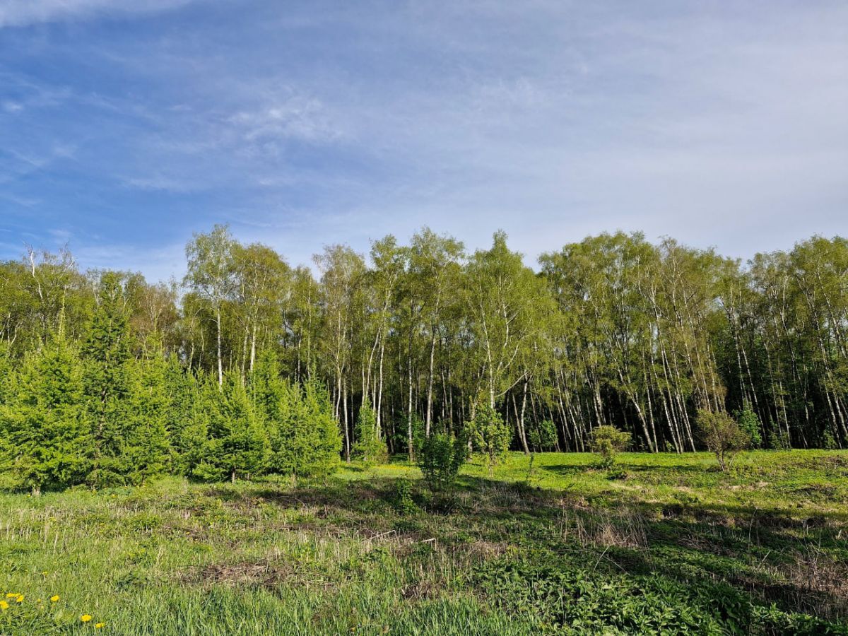 Россельхознадзор выявил нарушения при ввозе пиломатериала хвойных пород в Тульскую область Россельхознадзор выявил нарушения при ввозе пиломатериала хвойных пород в Тульскую область