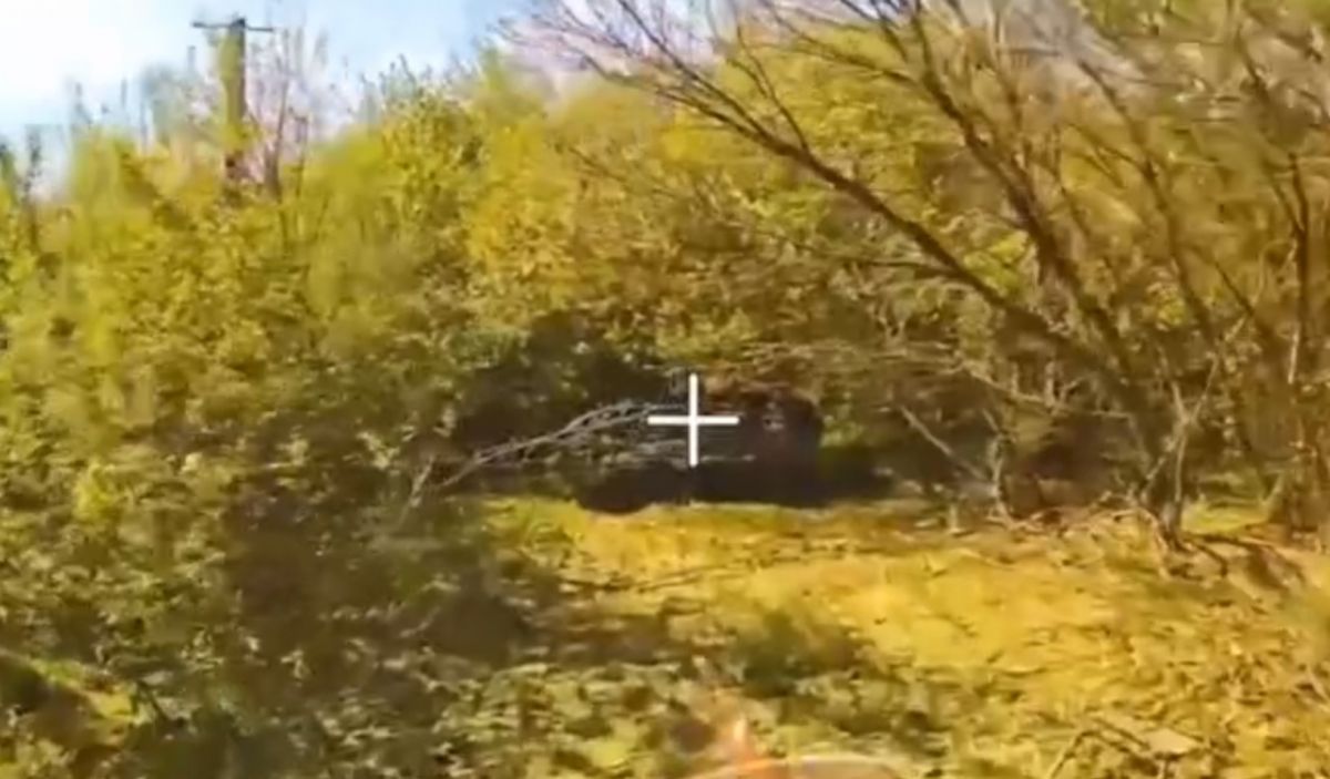 Тульские десантники прицельно выбивают живую силу и технику врага в Сумской области Тульские десантники прицельно выбивают живую силу и технику врага в Сумской области