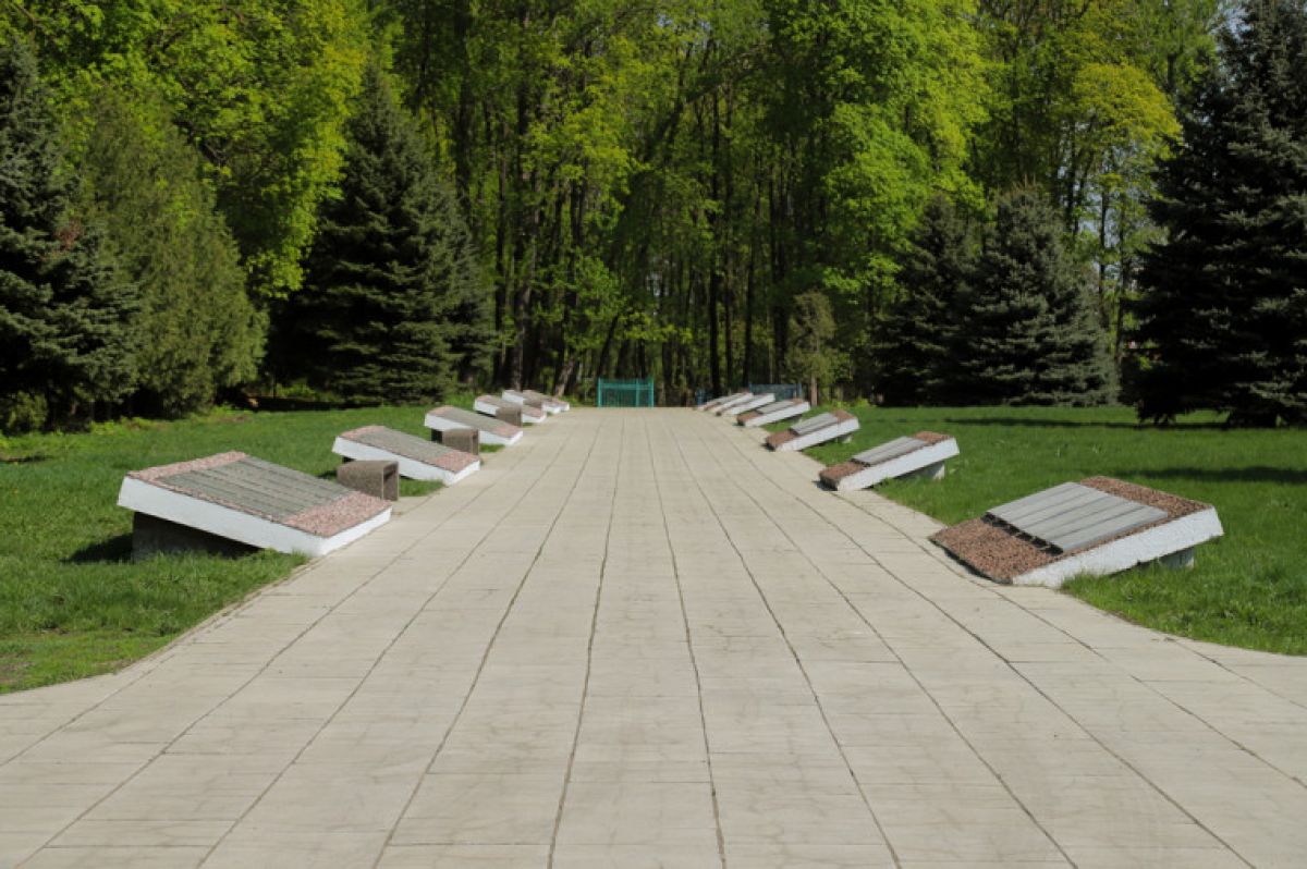 Тулякам рассказали, можно ли высаживать деревья на кладбищах Тулякам рассказали, можно ли высаживать деревья на кладбищах