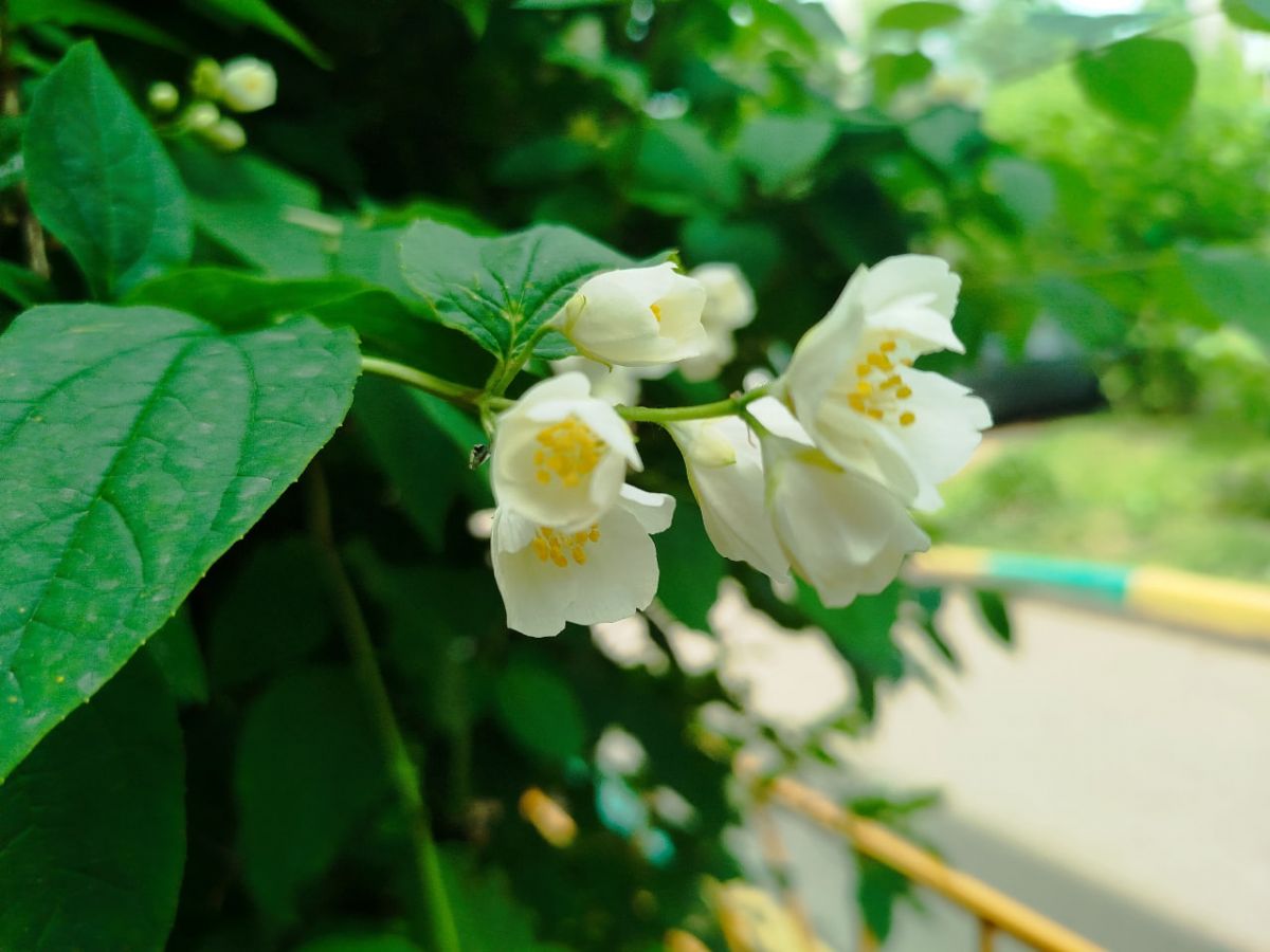 Жителям Тульской области рассказали о мероприятиях, запланированных летом