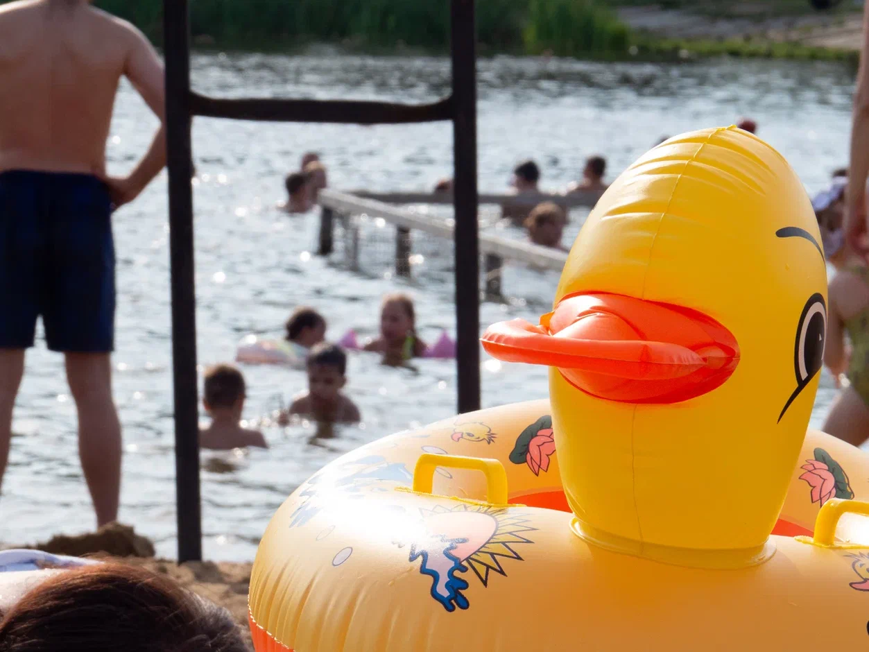 На пляже в Алексине Тульской области жителей пугают фейками об отсутствии укрытий На пляже в Алексине Тульской области жителей пугают фейками об отсутствии укрытий