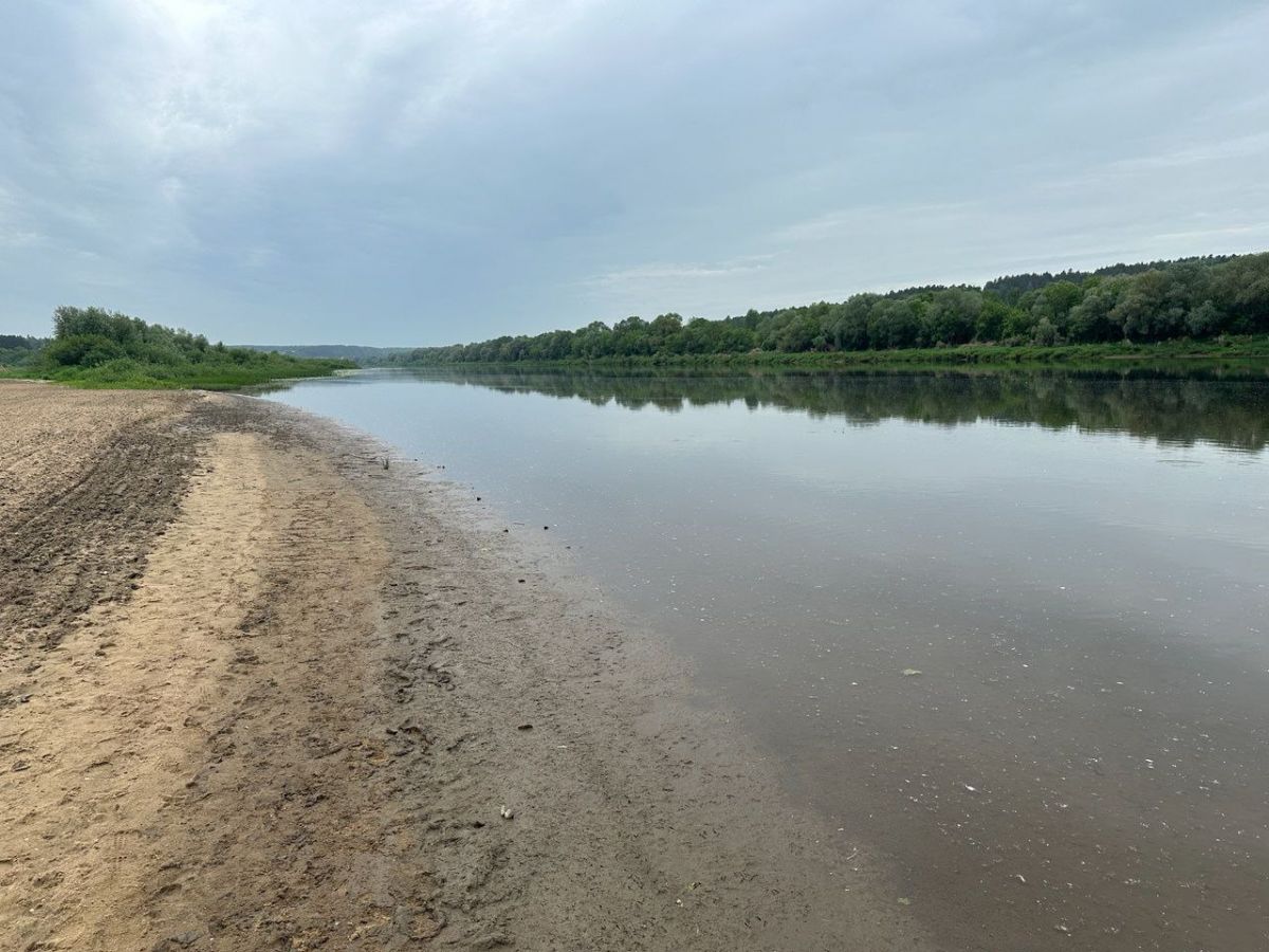 Следствие проверяет обстоятельства гибели мужчины в водоеме под Тулой Следствие проверяет обстоятельства гибели мужчины в водоеме под Тулой