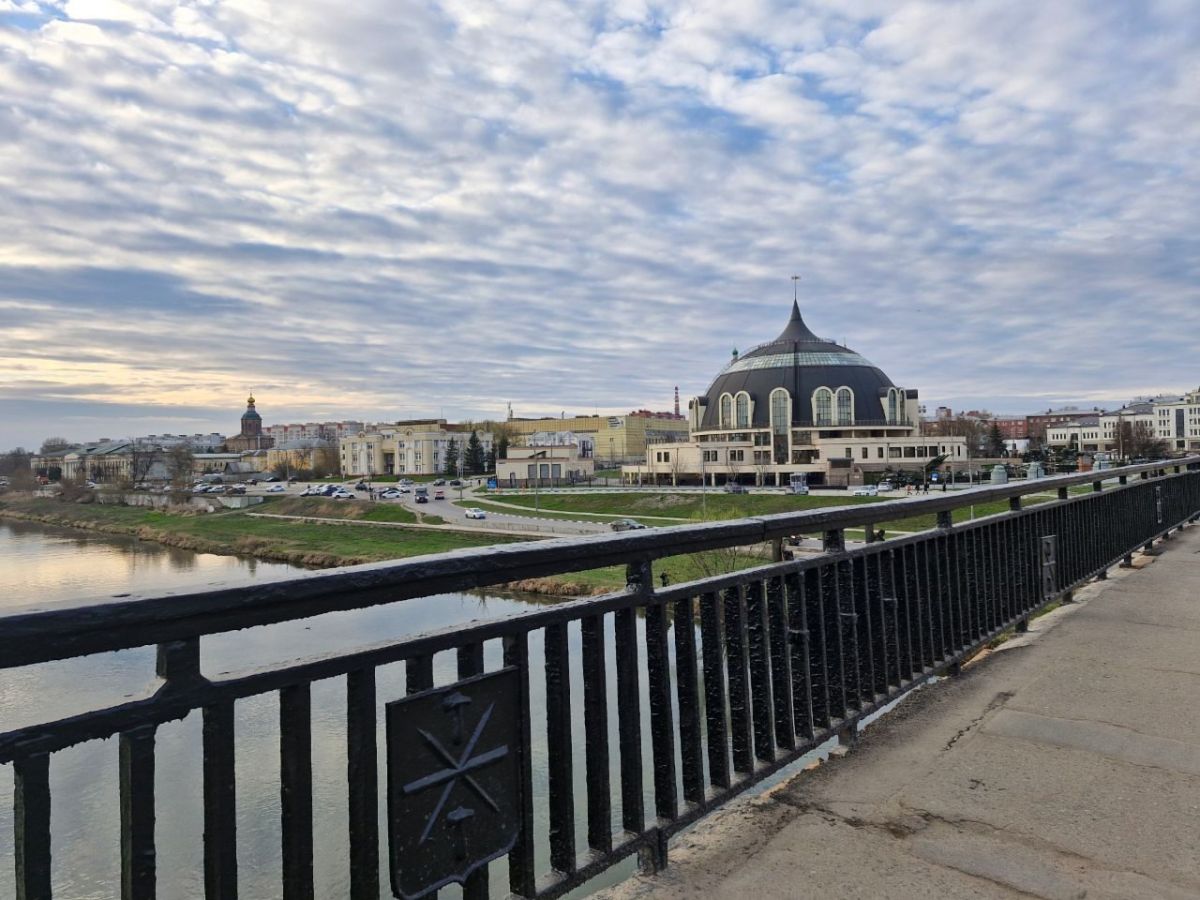 Тулячка пожаловалась губернатору на состояние лестницы у Зареченского моста Тулячка пожаловалась губернатору на состояние лестницы у Зареченского моста