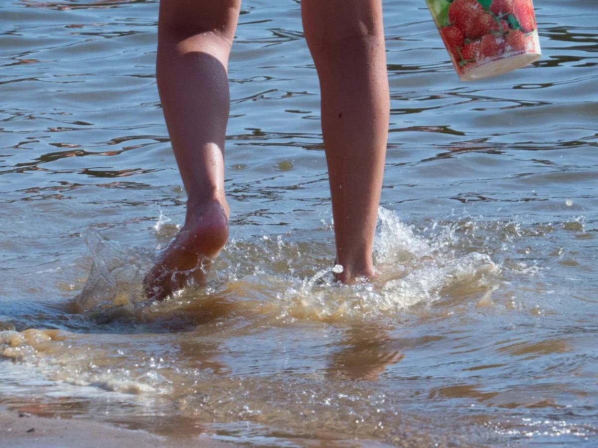 В Тульской области скоро откроется еще один пляж В Тульской области скоро откроется еще один пляж