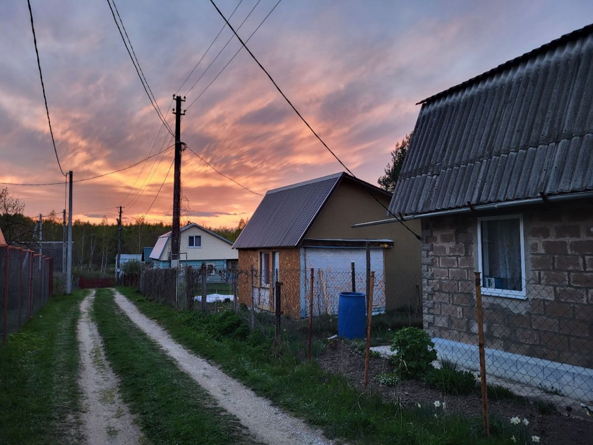 В Тульской области Россельхознадзор выявил продажу семян растений, отсутствующих в Госреестре В Тульской области Россельхознадзор выявил продажу семян растений, отсутствующих в Госреестре