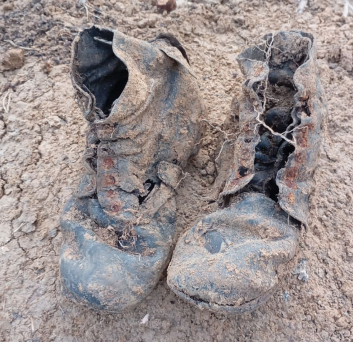 Как ИИ помогает в работе тульским поисковикам останков красноармейцев Как ИИ помогает в работе тульским поисковикам останков красноармейцев