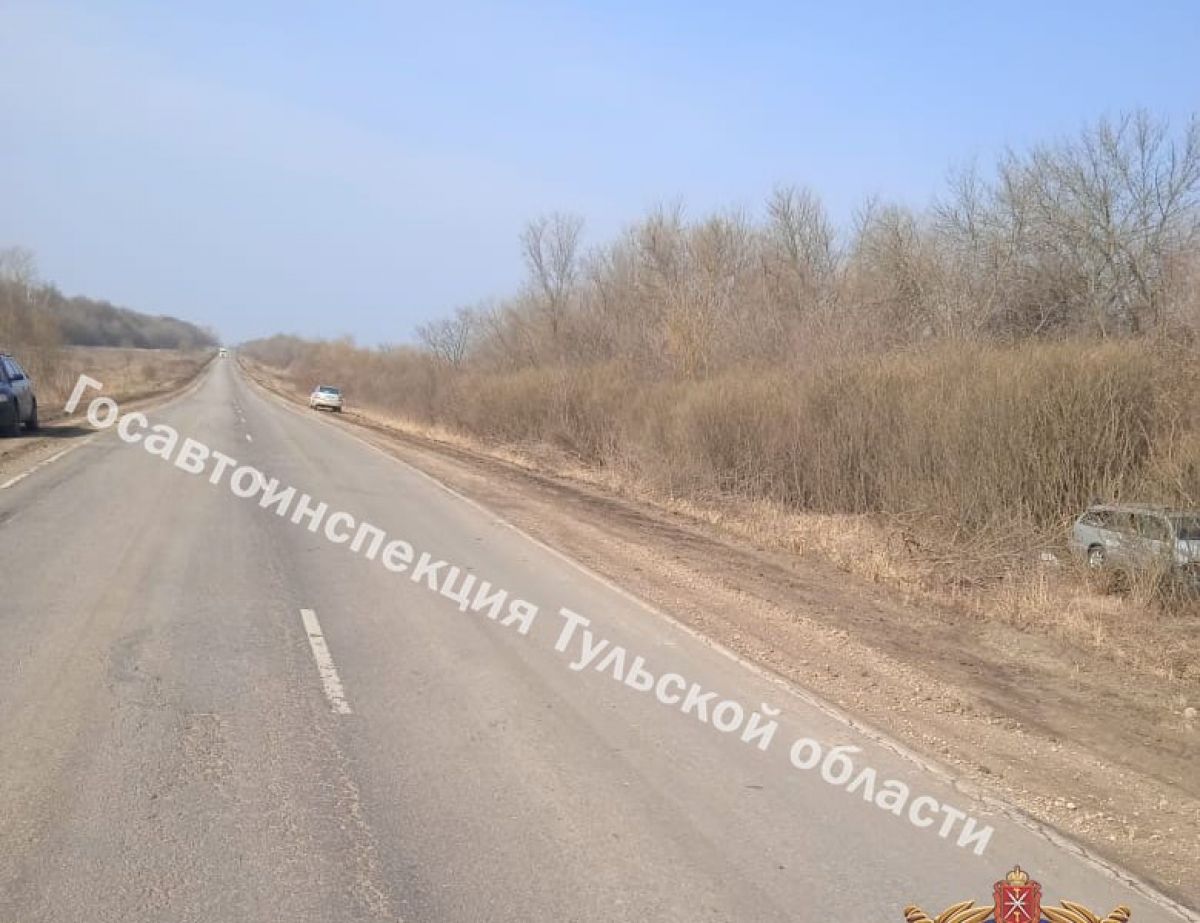 В Тульской области «Мерседес» вылетел с дороги и опрокинулся В Тульской области «Мерседес» вылетел с дороги и опрокинулся