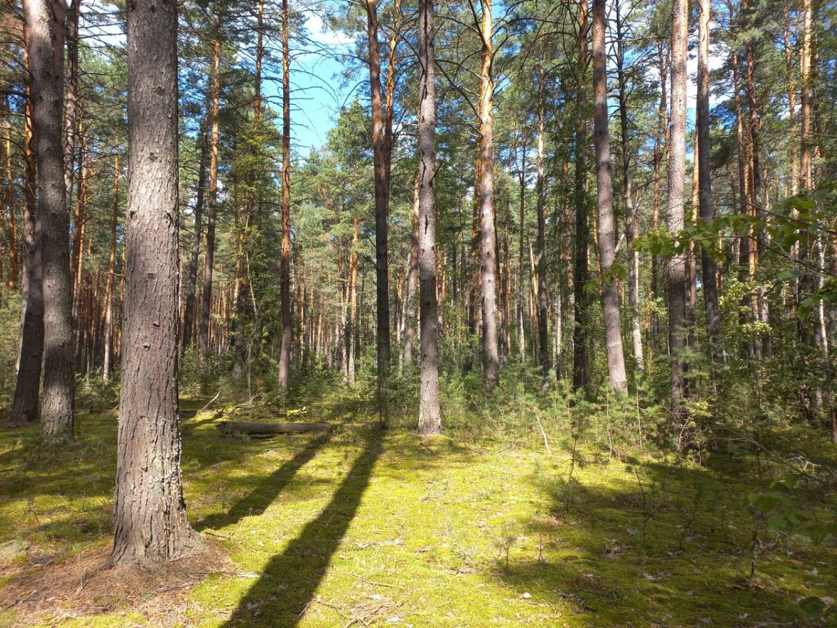 В Тульской области создана новая особо охраняемая природная территория В Тульской области создана новая особо охраняемая природная территория