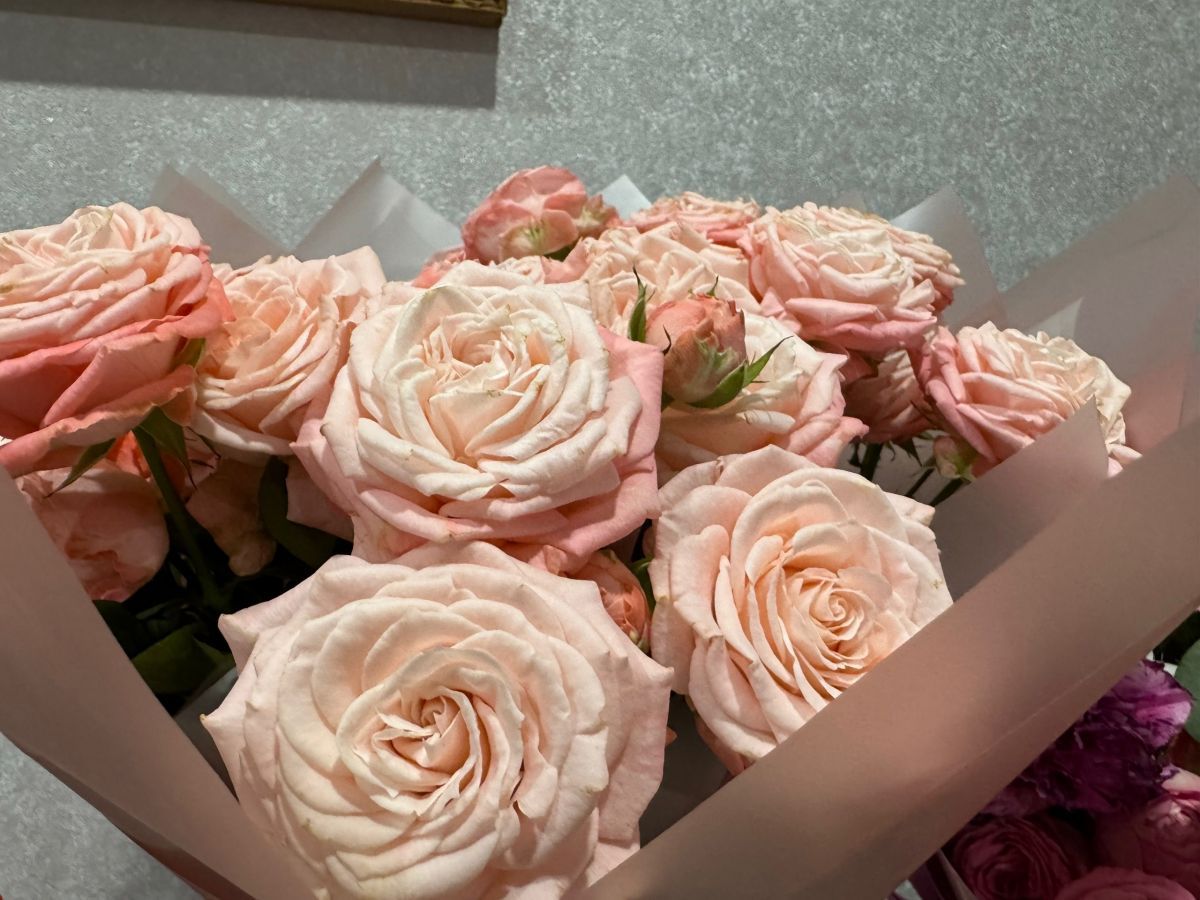 Туляки рассказали, сколько планируют потратить на подарки к 8 Марта Туляки рассказали, сколько планируют потратить на подарки к 8 Марта