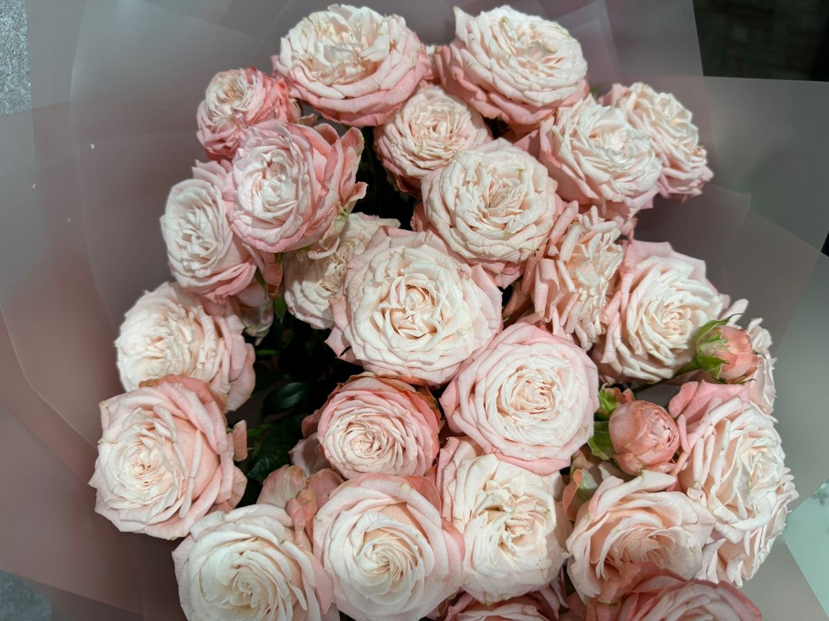 В тульском Роспотребнадзоре объяснили, как правильно подобрать живые цветы к 8 Марта В тульском Роспотребнадзоре объяснили, как правильно подобрать живые цветы к 8 Марта