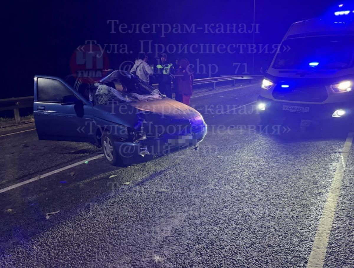 В Тульской области на трассе М-2 «Крым» водитель ВАЗа сбил лося В Тульской области на трассе М-2 «Крым» водитель ВАЗа сбил лося