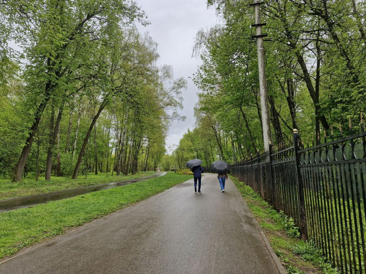 Днем в Тульской области продолжится дождь Днем в Тульской области продолжится дождь