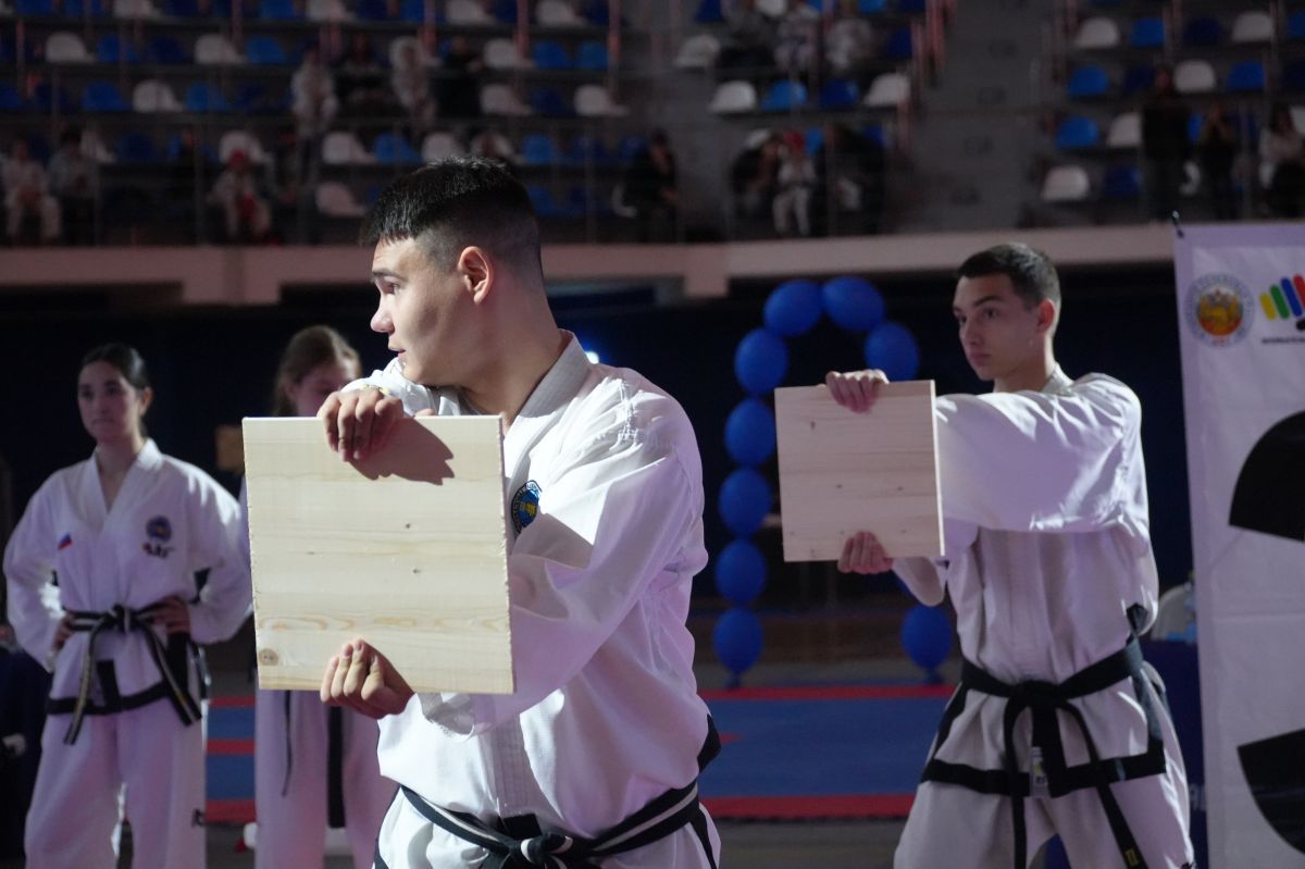 В Туле прошли чемпионат и первенство региона по тхэквондо В Туле прошли чемпионат и первенство региона по тхэквондо