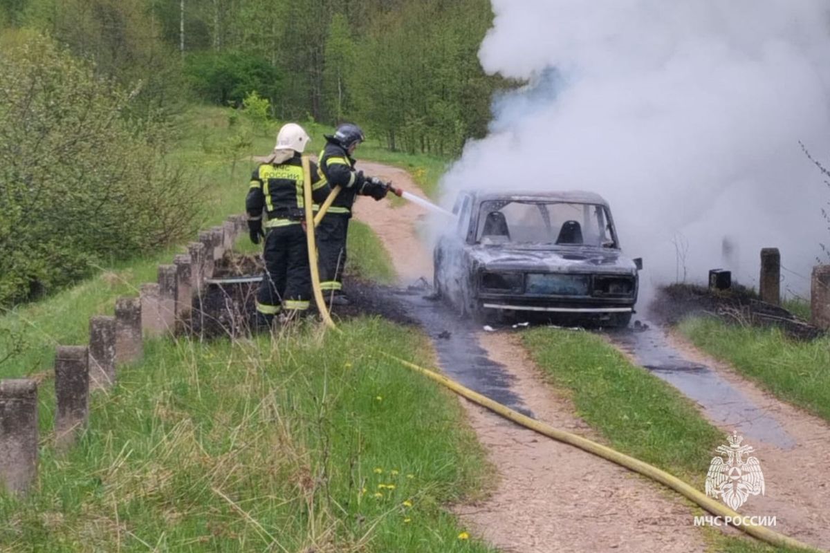 В Тульской области пожарные потушили две заброшки, машину и зоомагазин В Тульской области пожарные потушили две заброшки, машину и зоомагазин