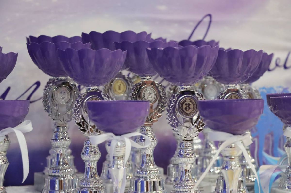 В Туле стартовали соревнования по художественной гимнастике памяти мастера спорта СССР В Туле стартовали соревнования по художественной гимнастике памяти мастера спорта СССР