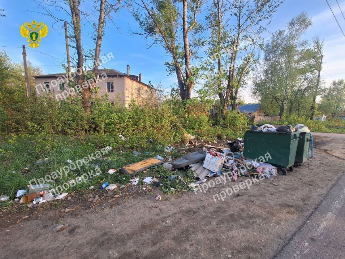 Тульская прокуратура обнаружила стихийные свалки возле контейнерных площадок в Щекинском районе Тульская прокуратура обнаружила стихийные свалки возле контейнерных площадок в Щекинском районе