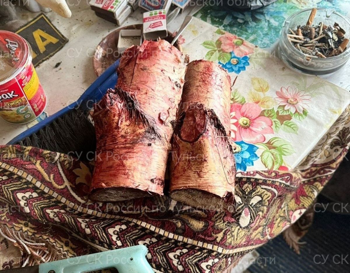 В Тульской области вынесен приговор мужчине, убившему свою девушку бревном В Тульской области вынесен приговор мужчине, убившему свою девушку бревном