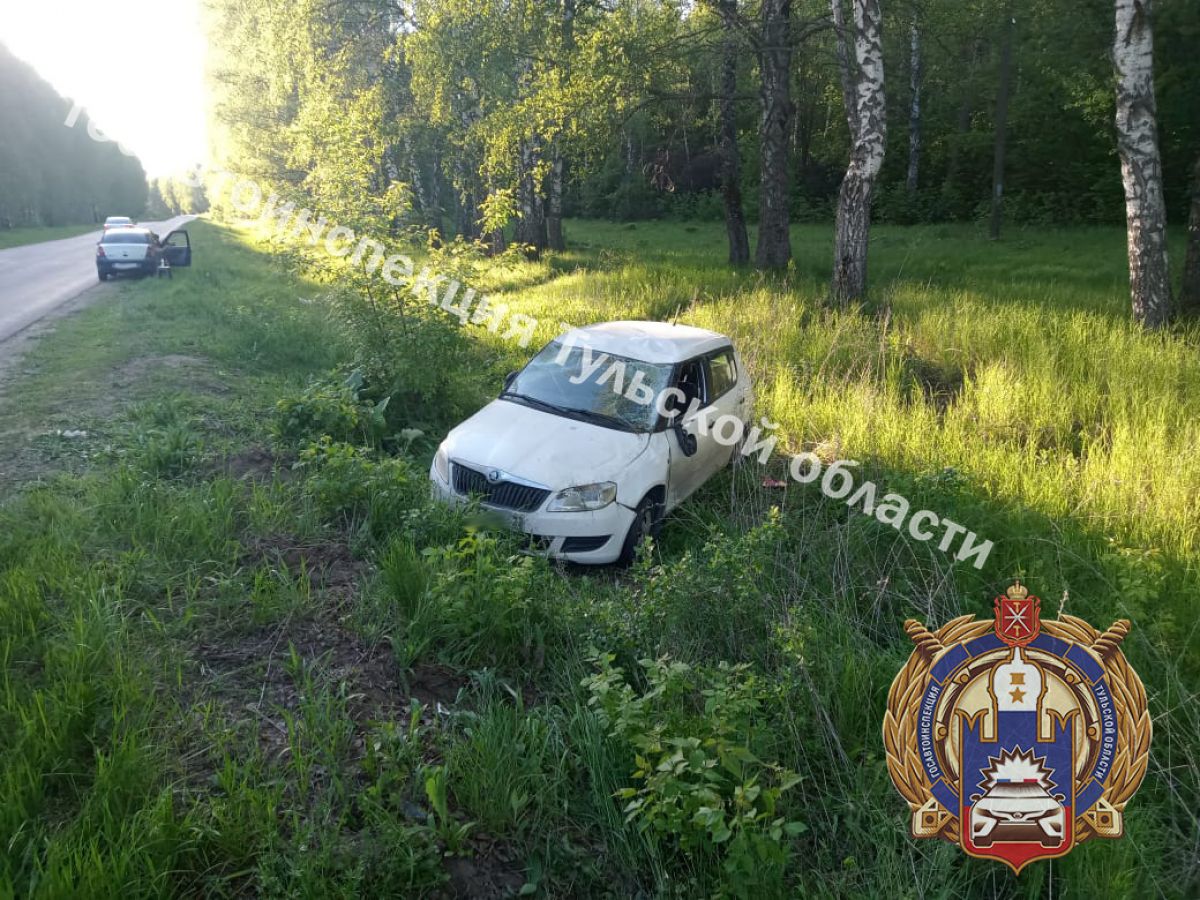 В Тульской области две девушки оказались в кювете после ДТП В Тульской области две девушки оказались в кювете после ДТП