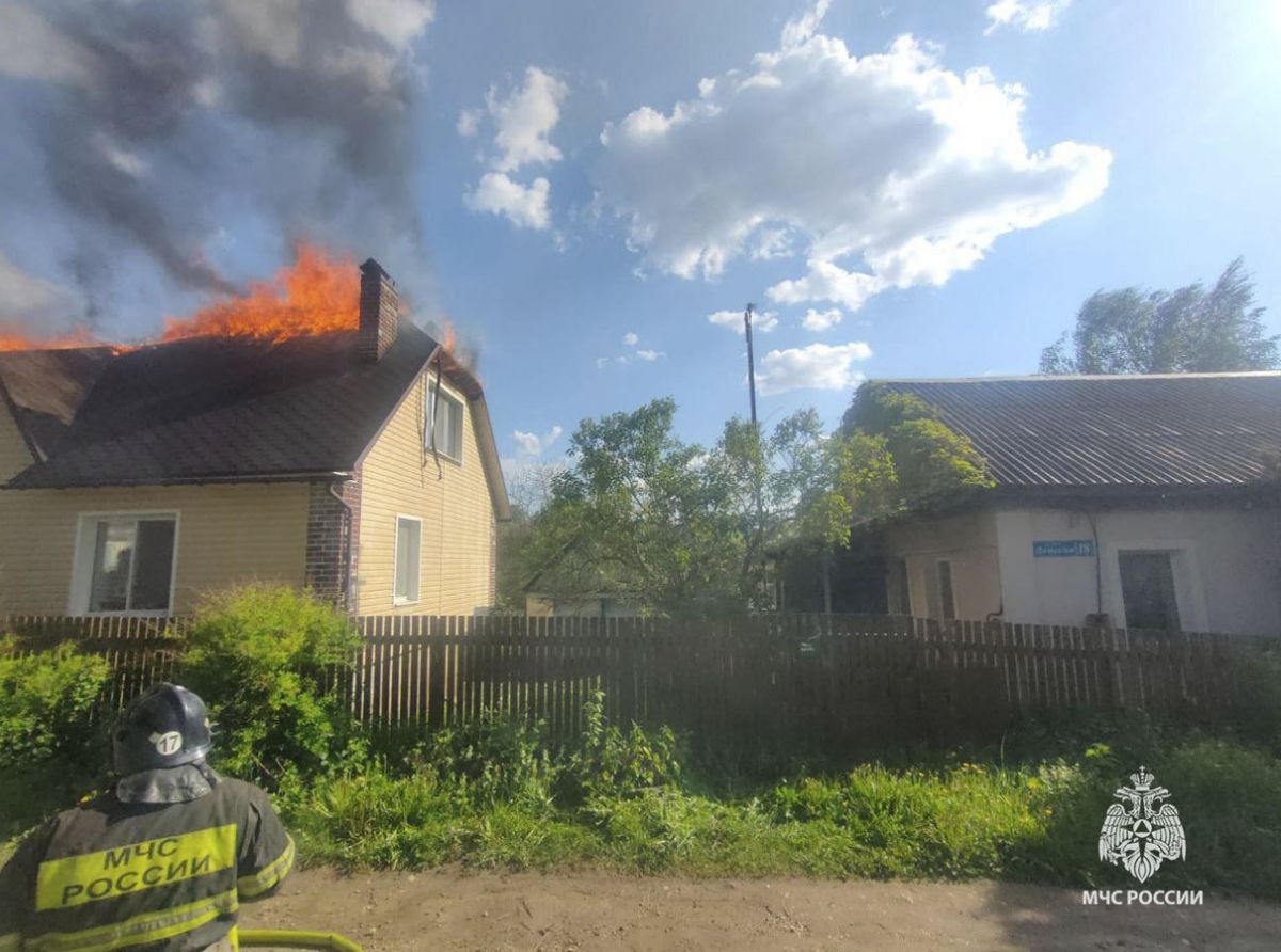 В Алексине во время пожара в доме и гараже пострадал человек