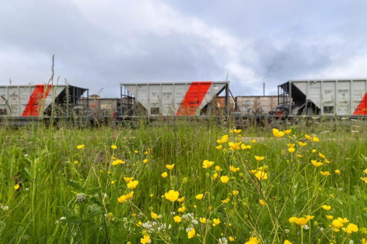 На МЖД организована доставка продукции для производства цемента по прямому маршруту – со станции Суходол в Тульской области до Рудничной в Ленинградской области