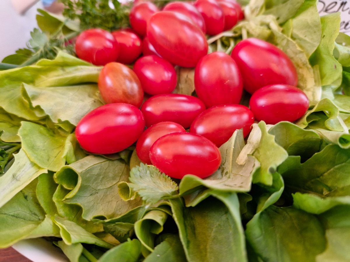 В тульском Роспотребнадзоре назвали ошибки родителей в питании дошкольников В тульском Роспотребнадзоре назвали ошибки родителей в питании дошкольников