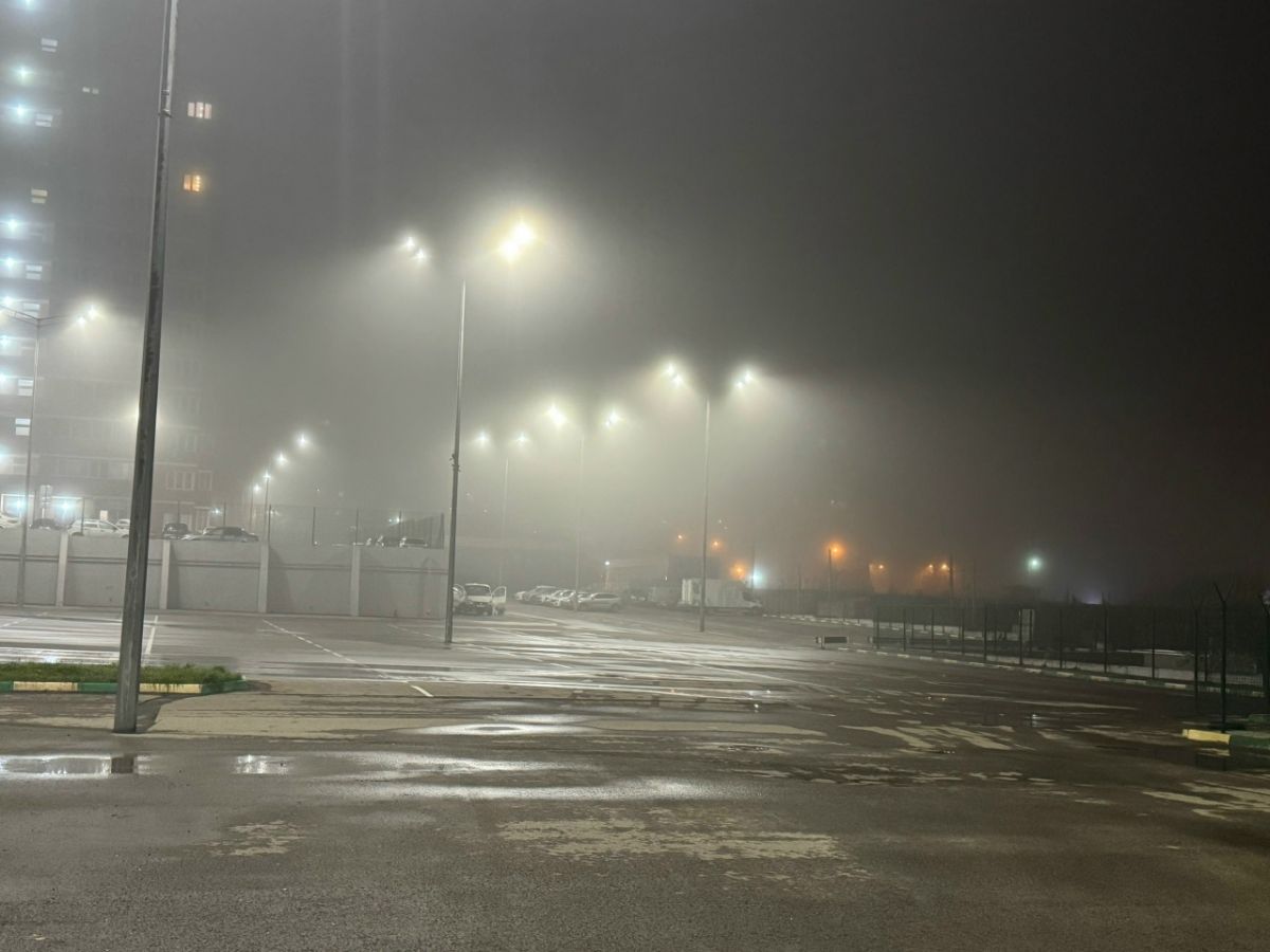 Ночью в Тульской области будет туманно и морозно