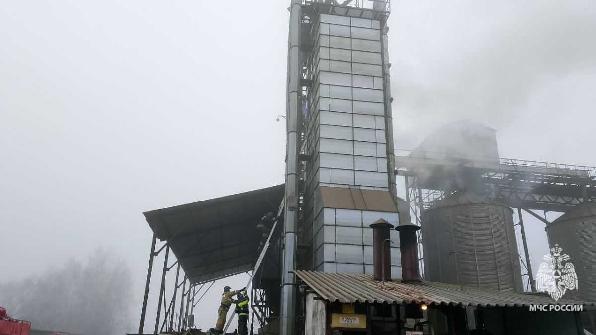 Пожар в зерносушилке в Тульской области мог погубить почти 18 тонн гречневой крупы