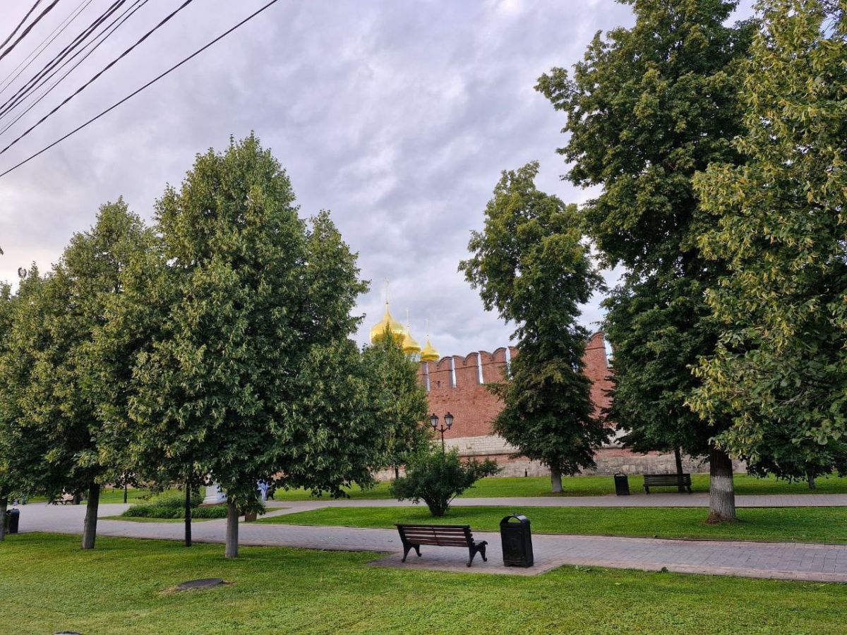 Жители Тульской области могут почувствовать недомогание из-за магнитных бурь Жители Тульской области могут почувствовать недомогание из-за магнитных бурь