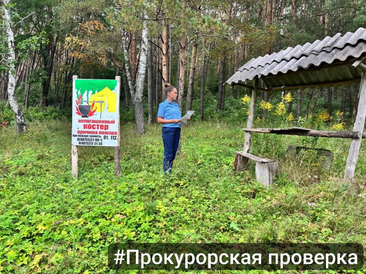 На территории лесничества в Тульской области прокуратура выявила ряд нарушений На территории лесничества в Тульской области прокуратура выявила ряд нарушений
