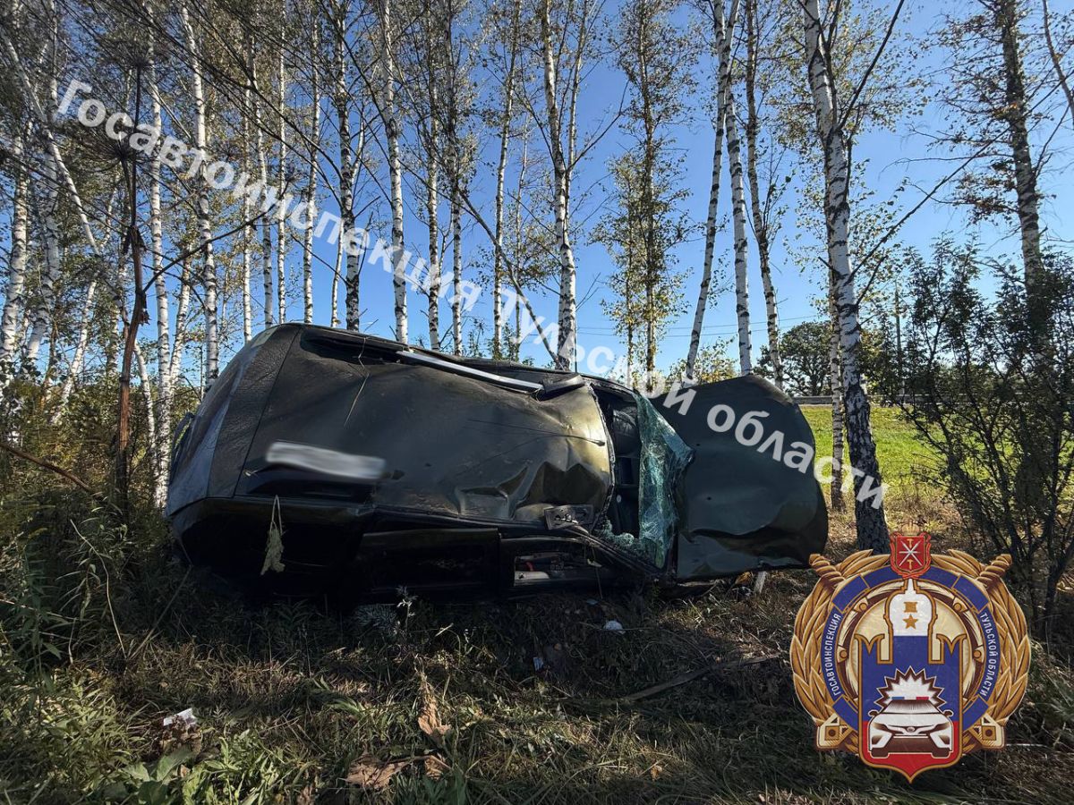 В Тульской области нетрезвая автоледи протаранила дерево