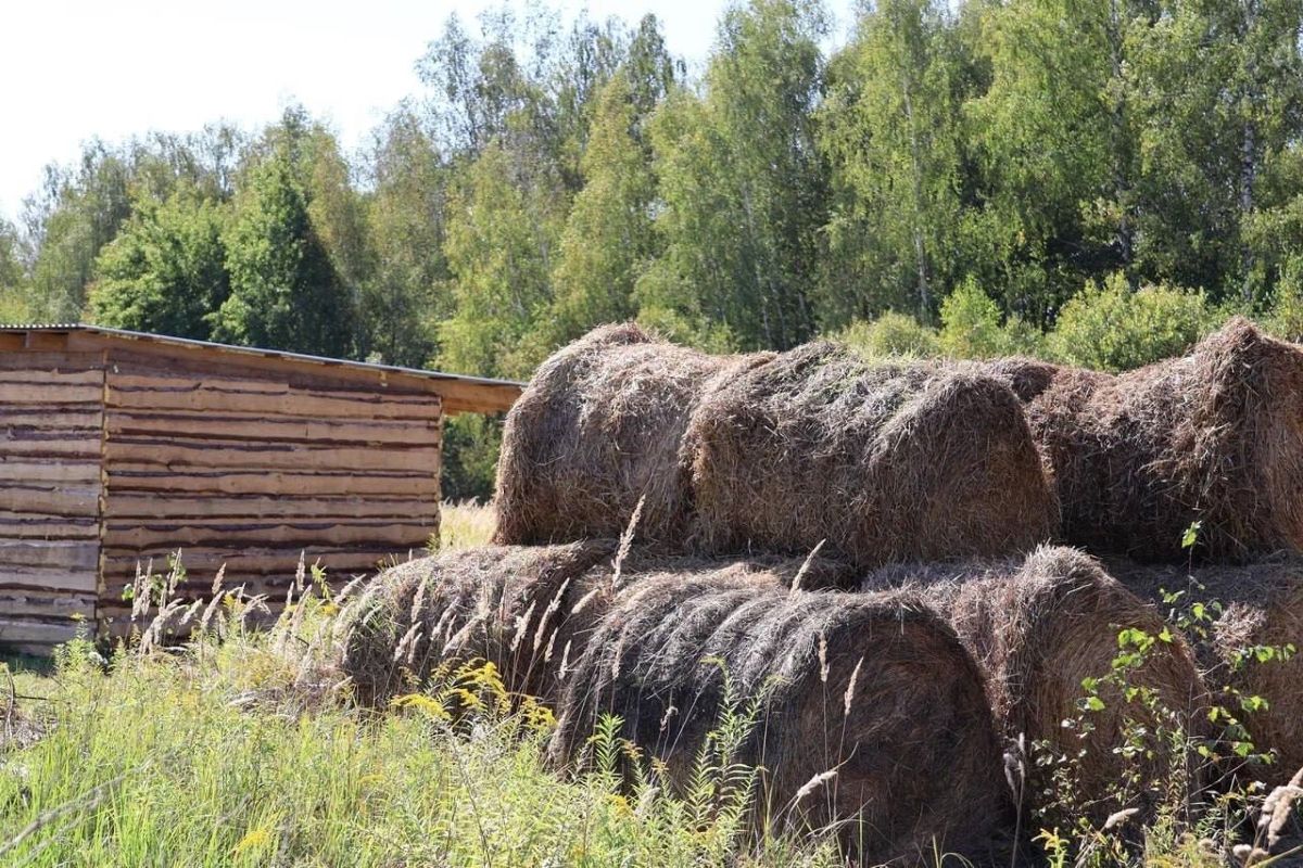 Тульский губернатор рассказал, как ветераны СВО поднимают сельское хозяйство