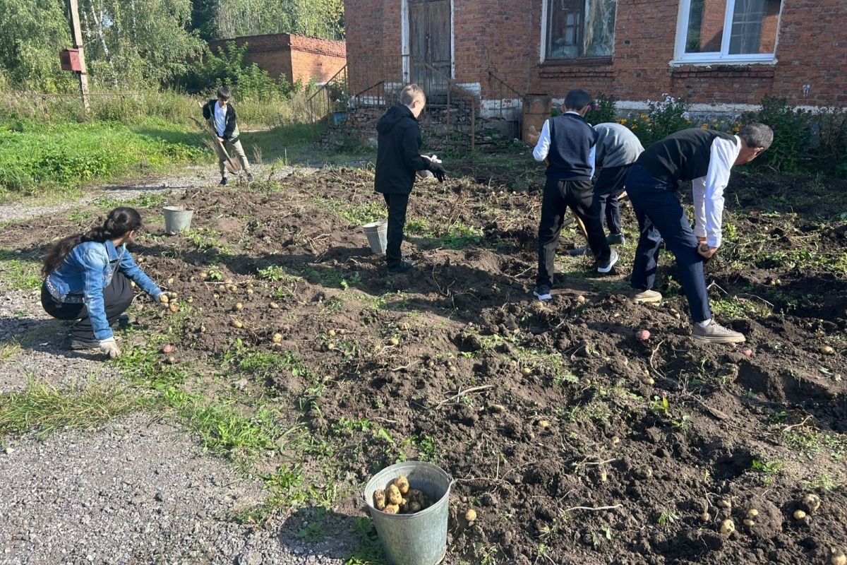 Школьники вырастили овощи для российских бойцов