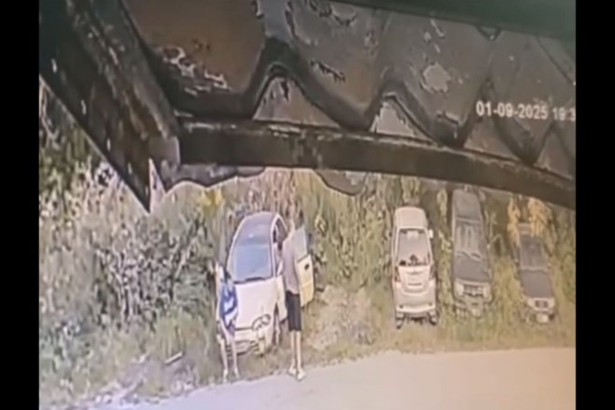 В Туле школьники вскрыли четыре машины: в полиции организовали проверку В Туле школьники вскрыли четыре машины: в полиции организовали проверку