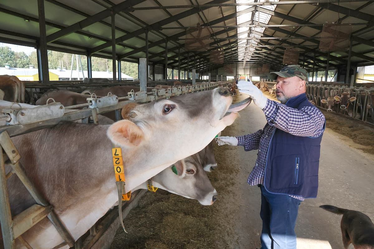 Философия молока Философия молока