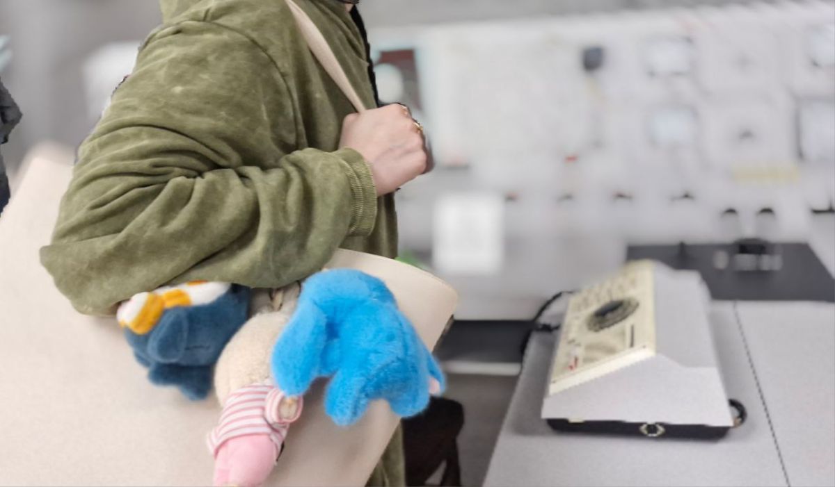 «Лабубу», «сигма» и «цифровой рубль» стали одними из популярных слов у туляков «Лабубу», «сигма» и «цифровой рубль» стали одними из популярных слов у туляков