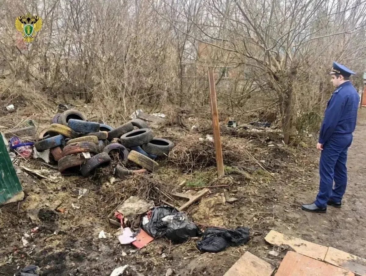 Две свалки автомобильных шин обнаружены в Богородицке