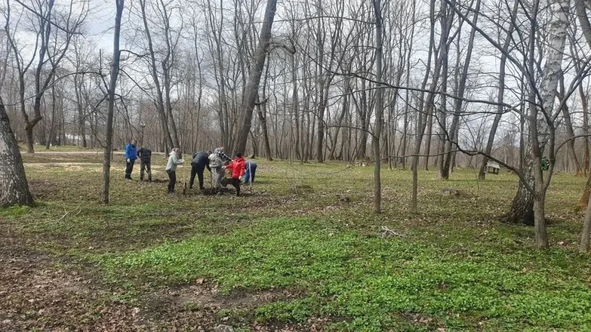 В Богородицком дворце-музее обновляют парк имени Андрея Болотова