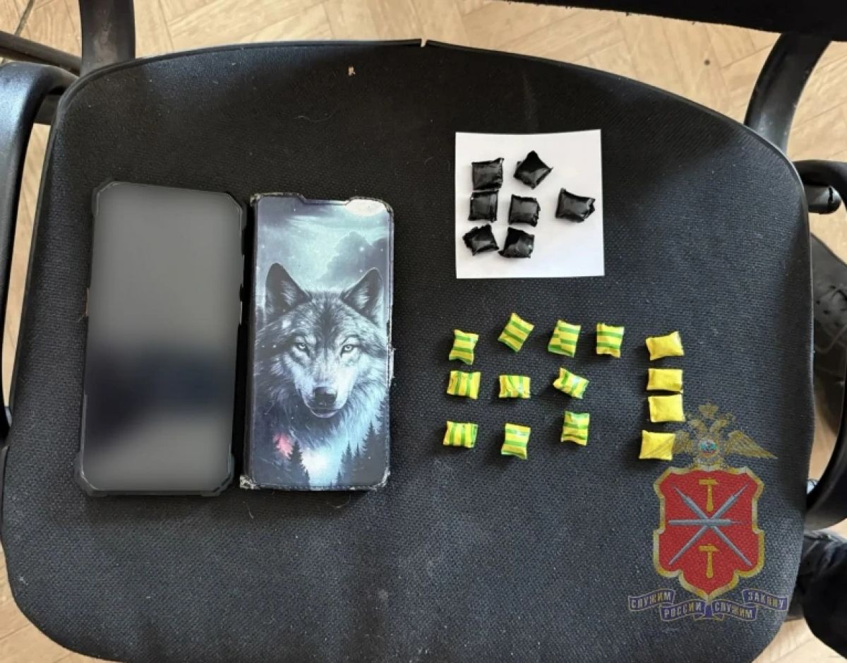 В Туле полицейские задержали наркокурьера