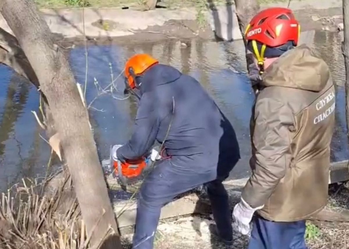 В Туле стартовал всероссийский субботник