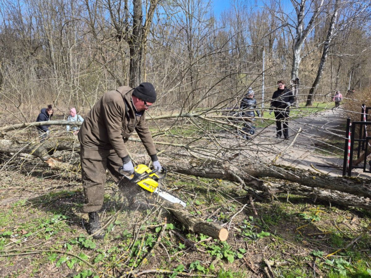 Как в Туле прошел всероссийский субботник