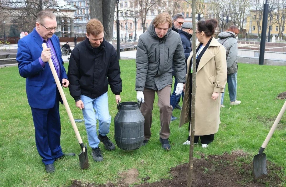 У стен Тульского драмтеатра высадили аллею лип