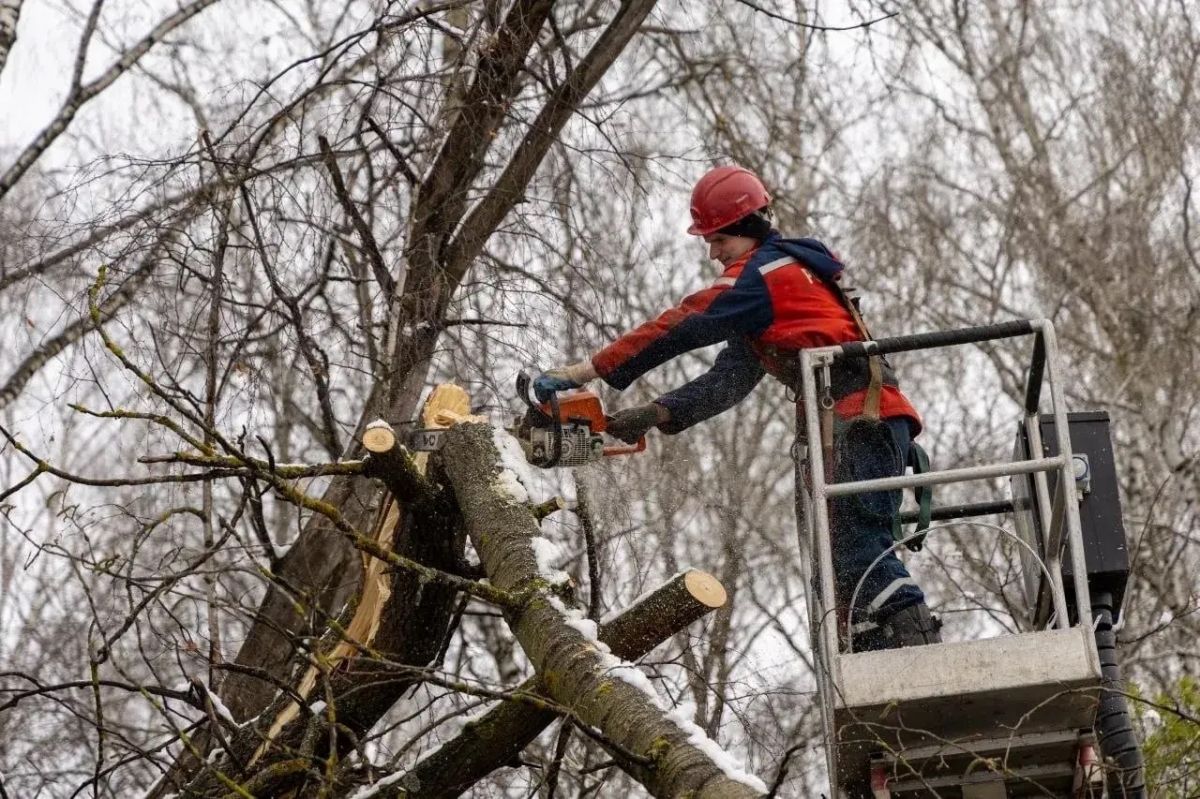 Специалисты «Тулэнерго» восстановили электроснабжение потребителей по основной сети после непогоды