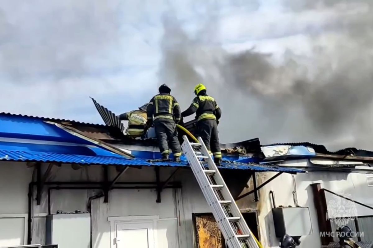 Тульские пожарные борются с огнем на площади 2,8 тысяч квадратных метров