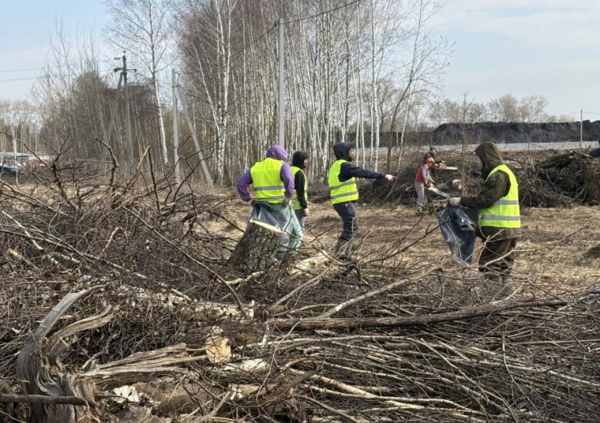 В Туле приводят в порядок городские кладбища В Туле приводят в порядок городские кладбища
